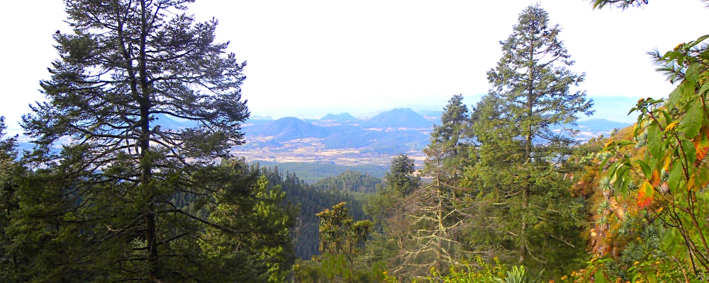 Transcontinental Volcanic MtnsOn top of the Mountain