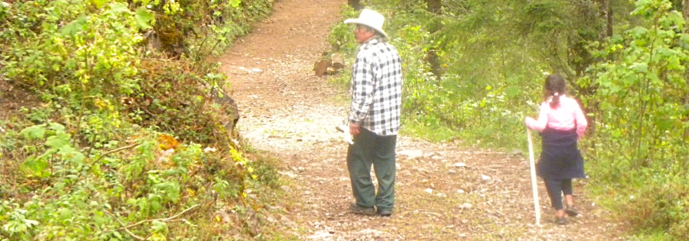 Transcontinental Volcanic MtnsOn top of the Mountain