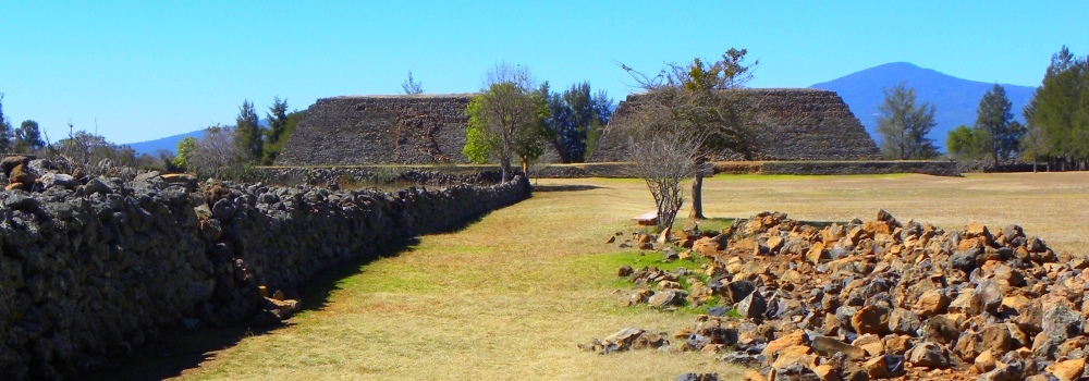The Transcontinental Volcanic Mountains RegionSierras de Volcanic Ecoregion