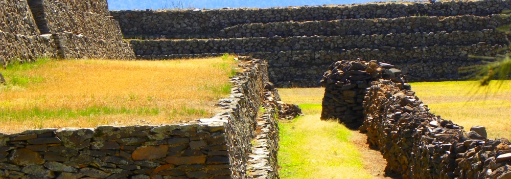 The Transcontinental Volcanic Mountains RegionSierras de Volcanic Ecoregion