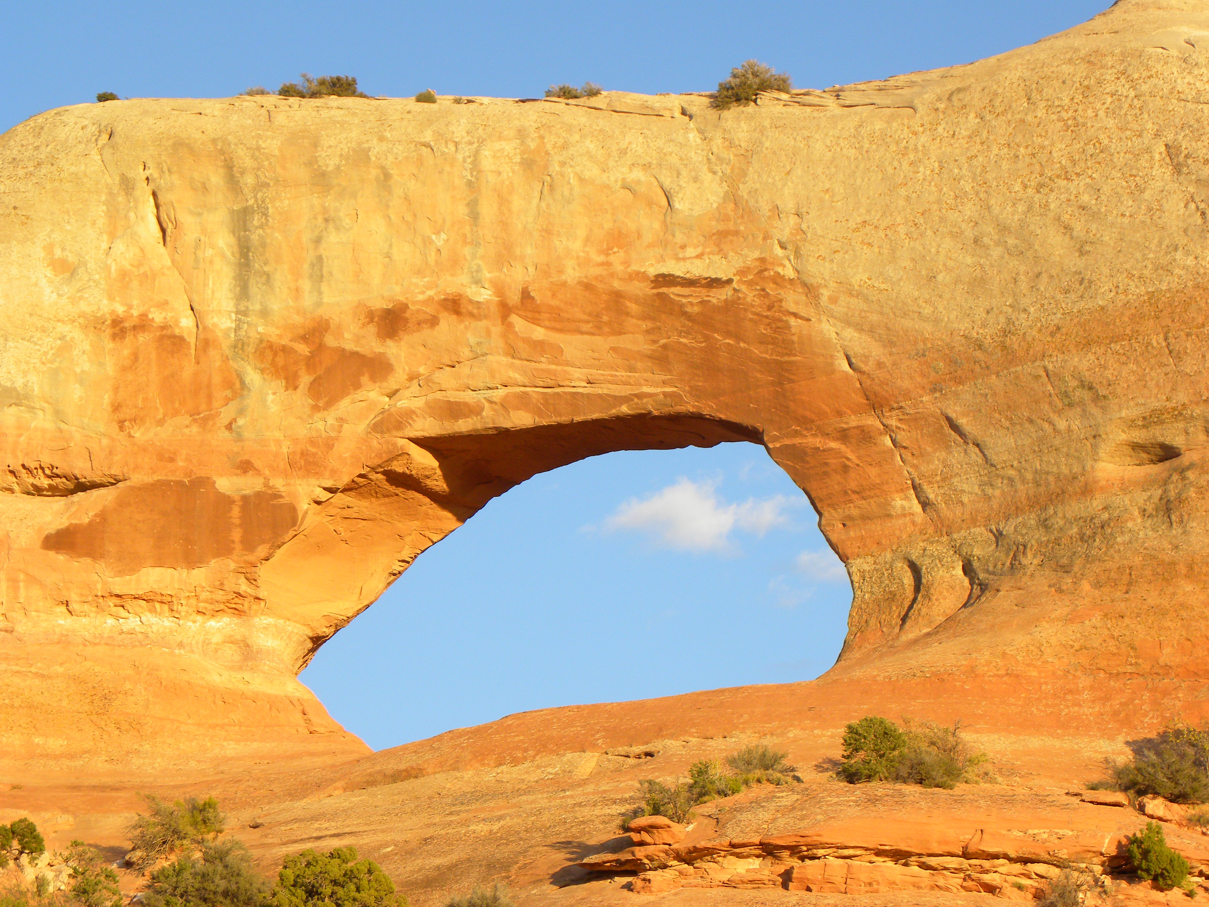 The Earth&prime;s Arches, Wilson Arch Arches