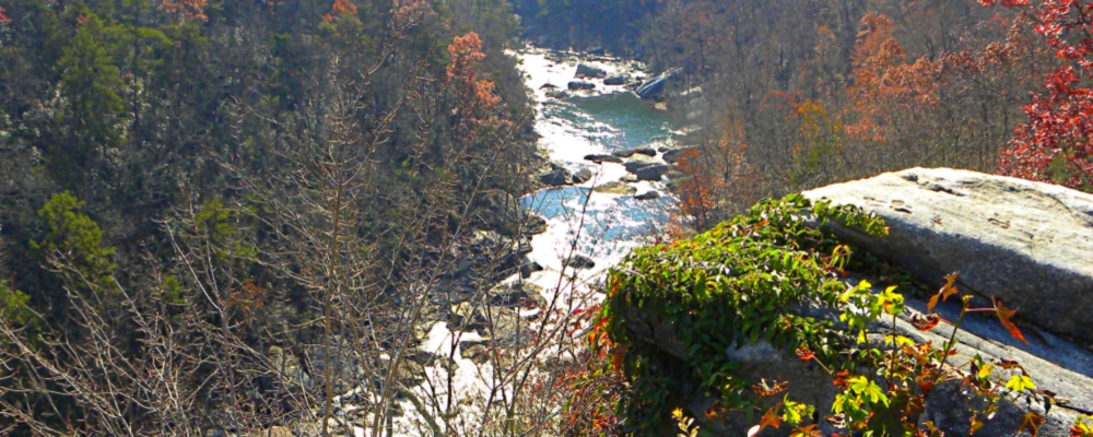 Little River CanyonRim Overlook
