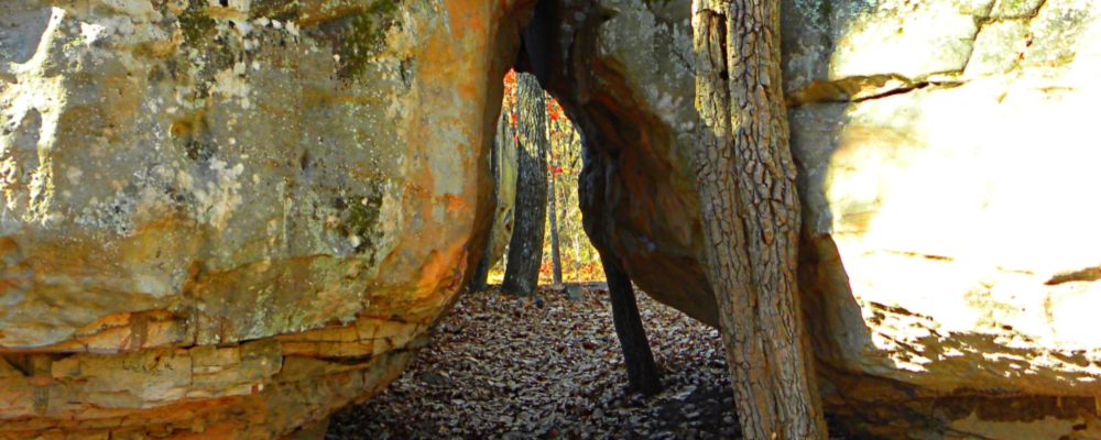 Little River CanyonRim DParkway