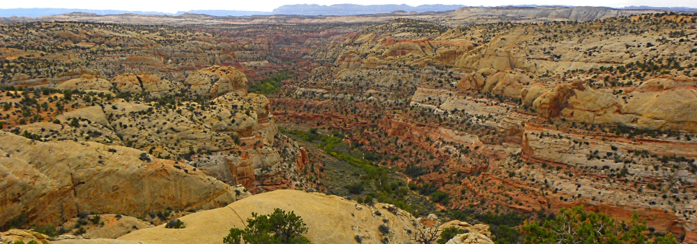 The CanyonsEscalante-Grand Staircase