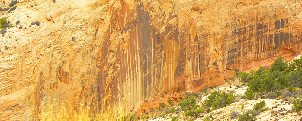 The CanyonsEscalante-Grand Staircase