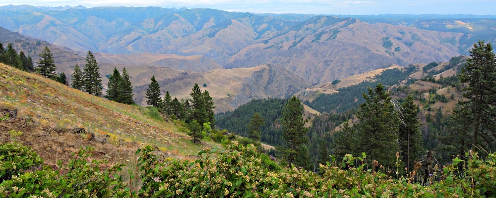 The CanyonsHells Canyon