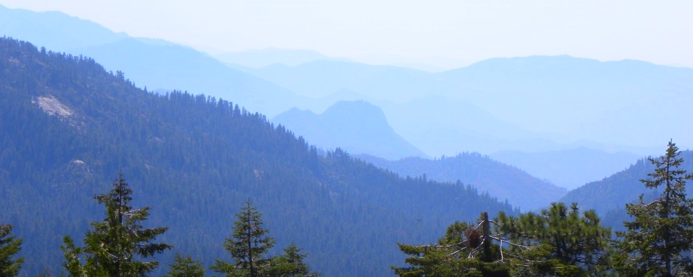 The Kings CanyonBlue Subtlety