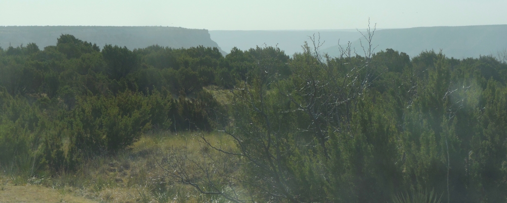 The Imageat Palo Duro Canyon