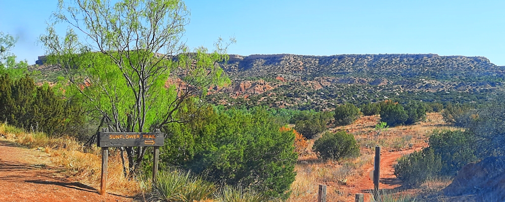 The Imageat Palo Duro Canyon