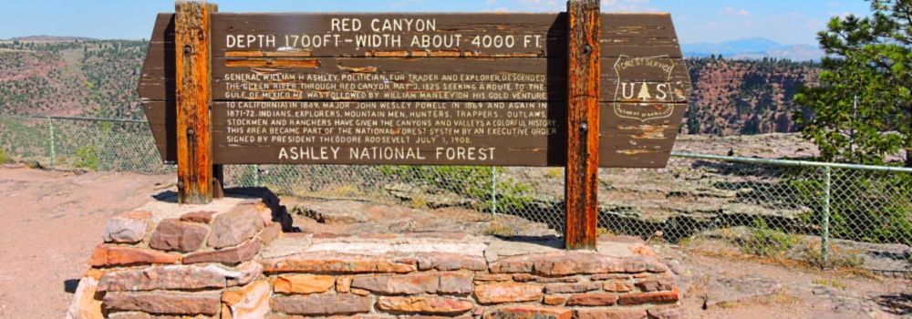 The Red CanyonEdge of Rim View Point