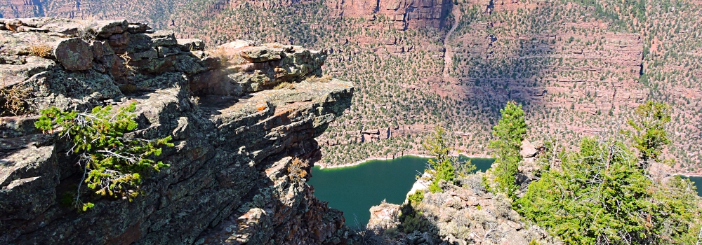 The Red CanyonSide of the Rim