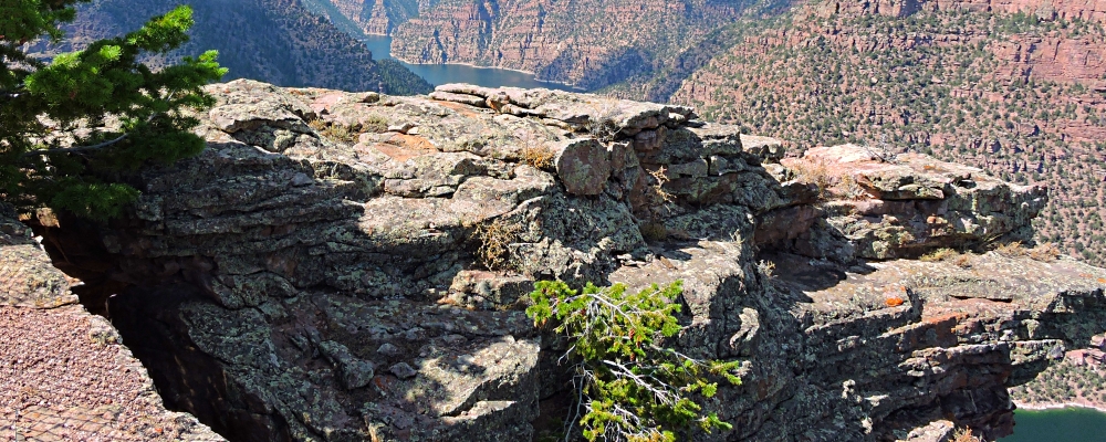 The Red CanyonSide of the Rim