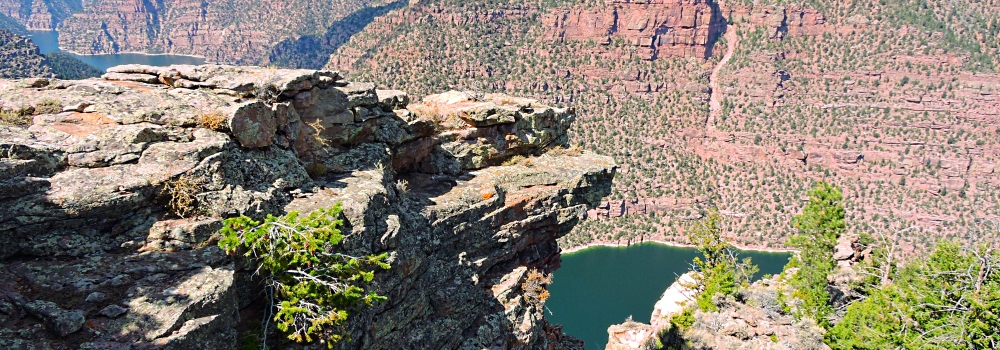 The Red CanyonSide of the Rim