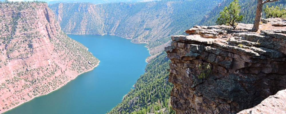 The Red CanyonSide of the Rim
