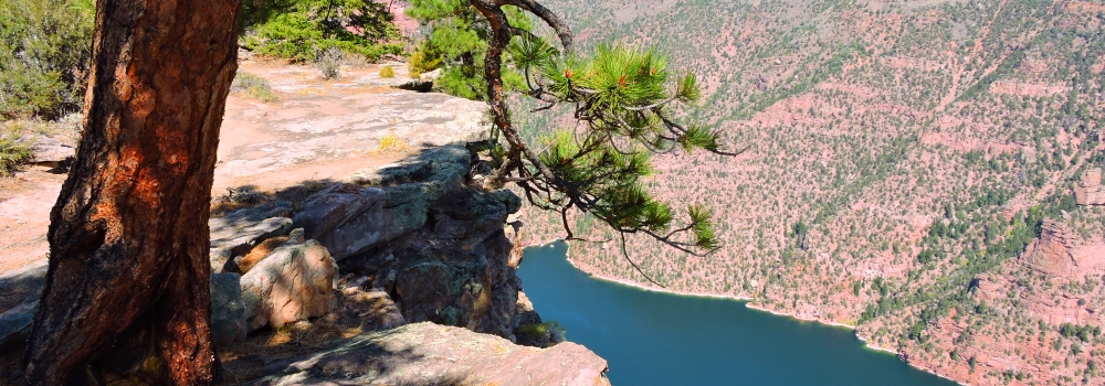 The Red CanyonSide of the Rim