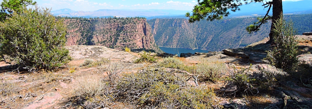 The Red CanyonSide of the Rim