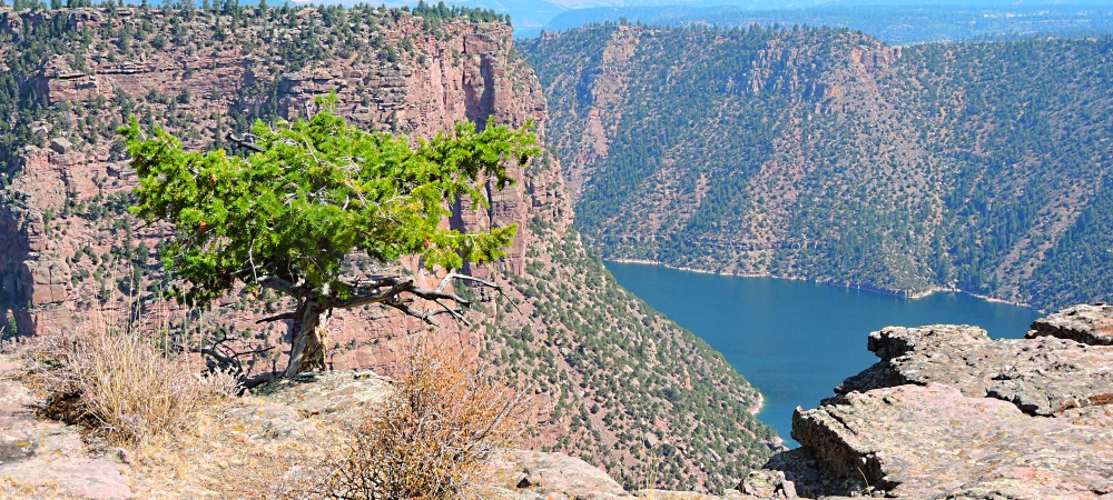 The Red CanyonSide of the Rim
