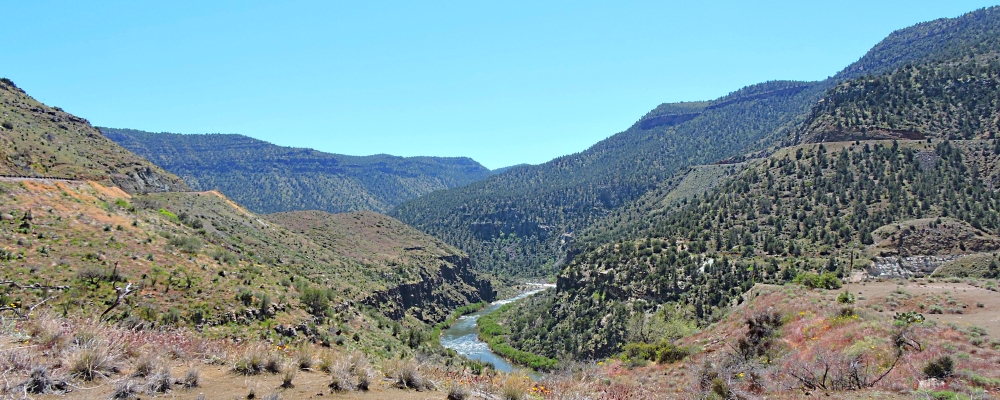The Salt River Canyon