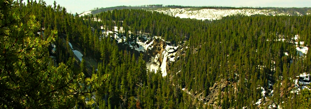 The CanyonsThe Yellowstone Canyon