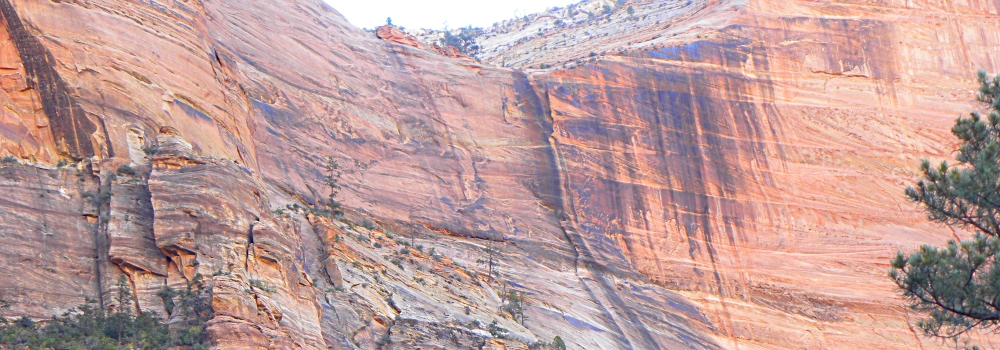 Zion CanyonWaterfall Tracks