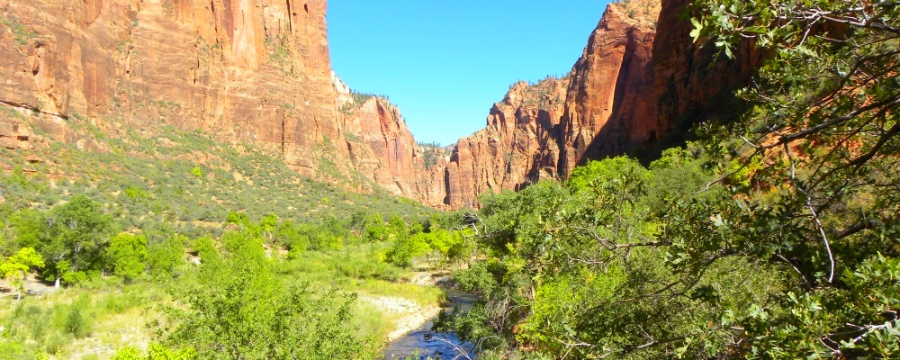 Zion CanyonRiver Path