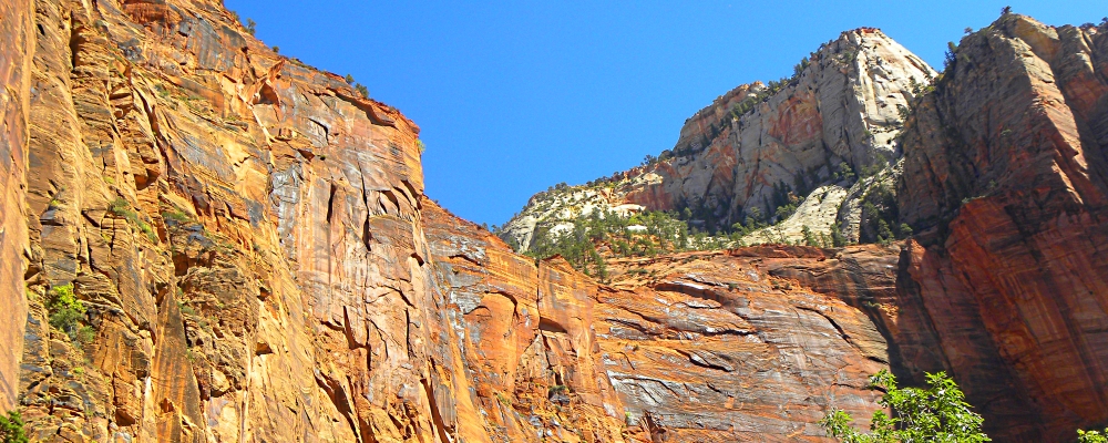 Zion CanyonWaterfall Tracks