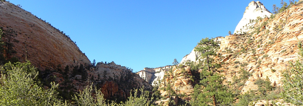 Zion CanyonScenery