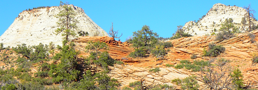 Zion CanyonScenery