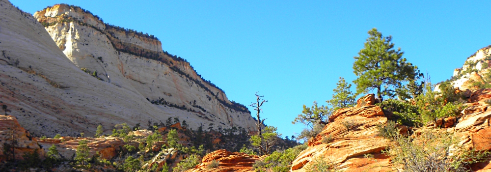 Zion CanyonScenery