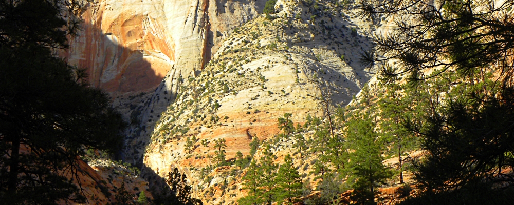 Zion CanyonScenery