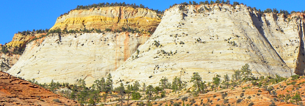 Zion CanyonScenery