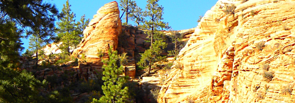 Zion CanyonScenery
