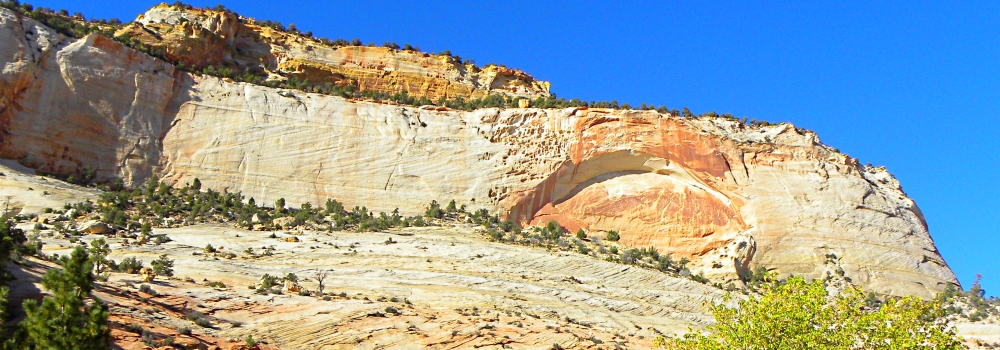Zion CanyonScenery