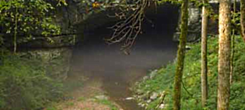The Russell CaveUnder Ground River Emerges