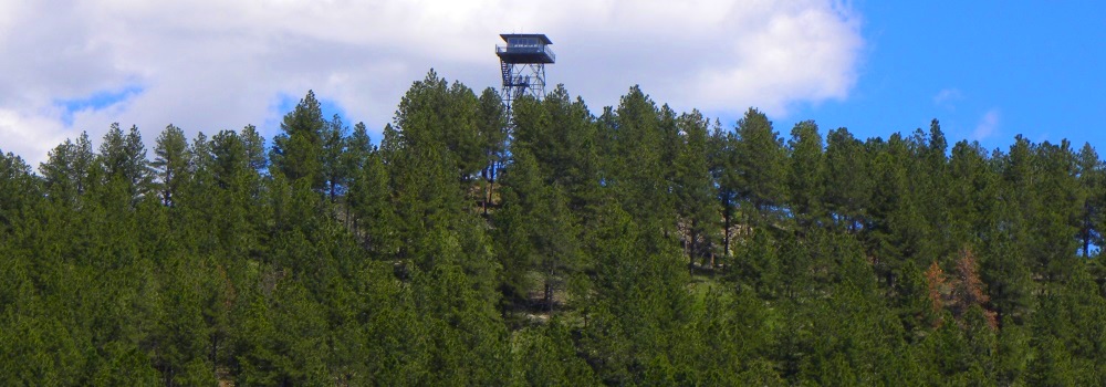 The Wind CaveForested Hills