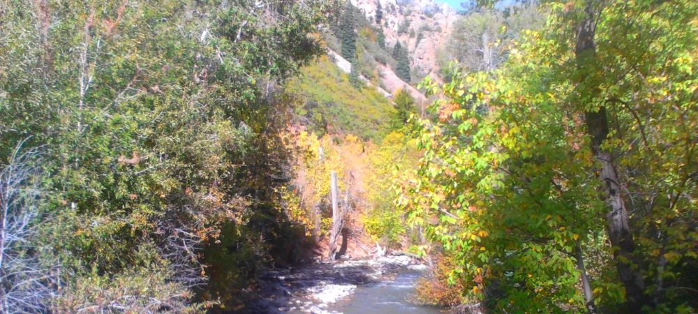 The Timpanogos CaveRiver Flowing Below
