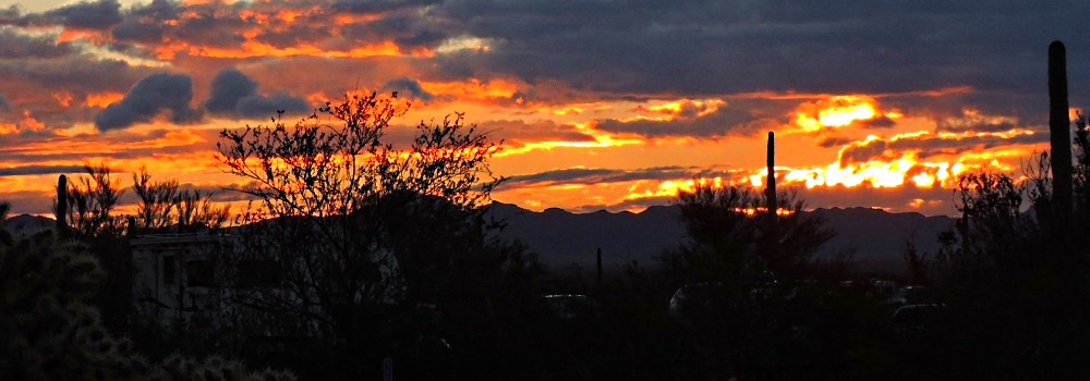 The Organ Pipe Cactus DesertMorning Sunglow
