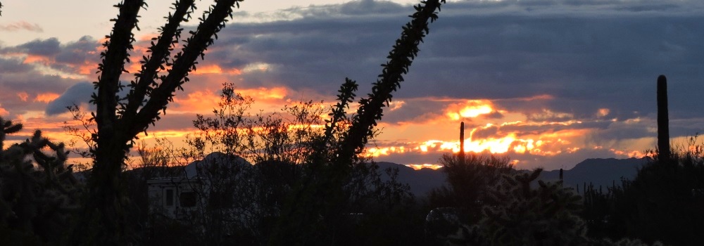 The Organ Pipe Cactus DesertMorning Sunglow