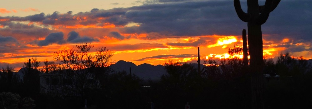 The Organ Pipe Cactus DesertMorning Sunglow