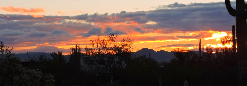 The Organ Pipe Cactus DesertMorning Sunglow