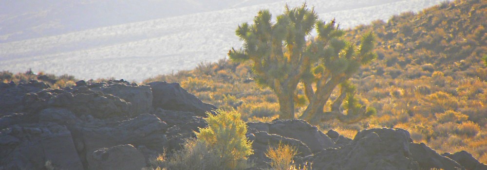 Death Valley DesertCrossing Panamint Mountains