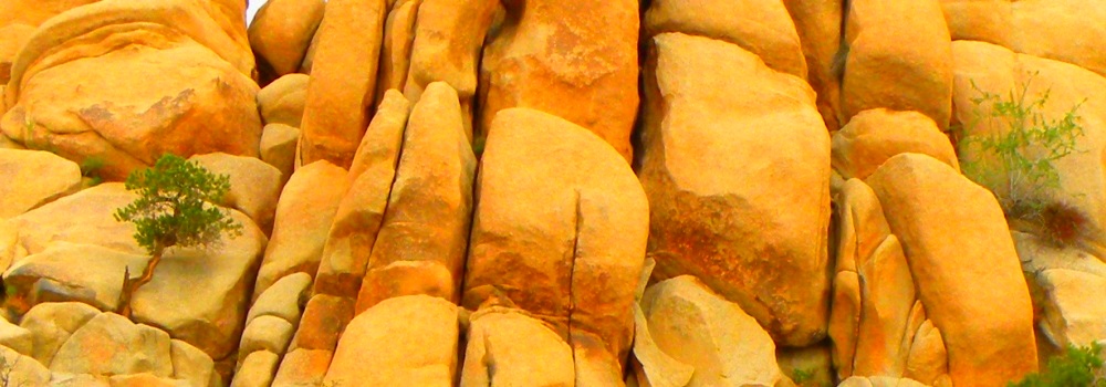 The Joshua Tree DesertJoshua Tree Amazing Rock Formations