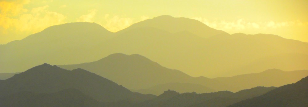 The Joshua Tree DesertSunset in the Desert