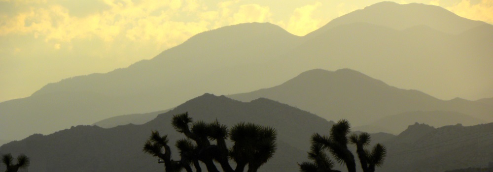 The Joshua Tree DesertSunset in the Desert
