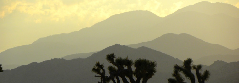 The Joshua Tree DesertSunset in the Desert