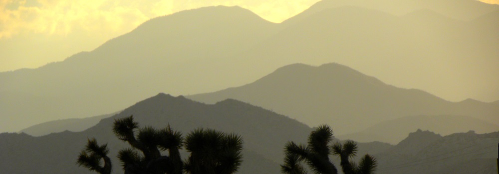 The Joshua Tree DesertSunset in the Desert