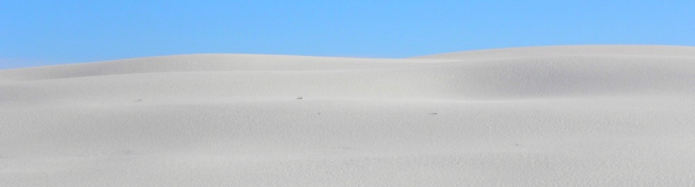 The White Sands DesertWhite as White Can Be