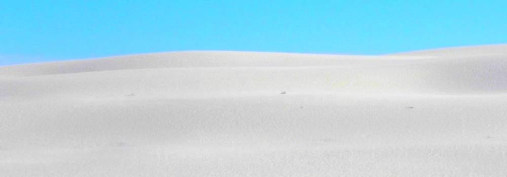The White Sands DesertWhite as White Can Be
