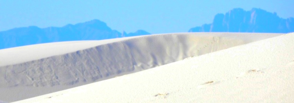 The White Sands DesertWhite as White Can Be
