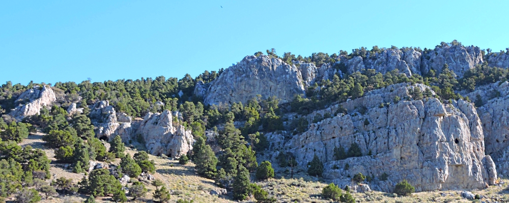 Great Basin Desert2021 Journey